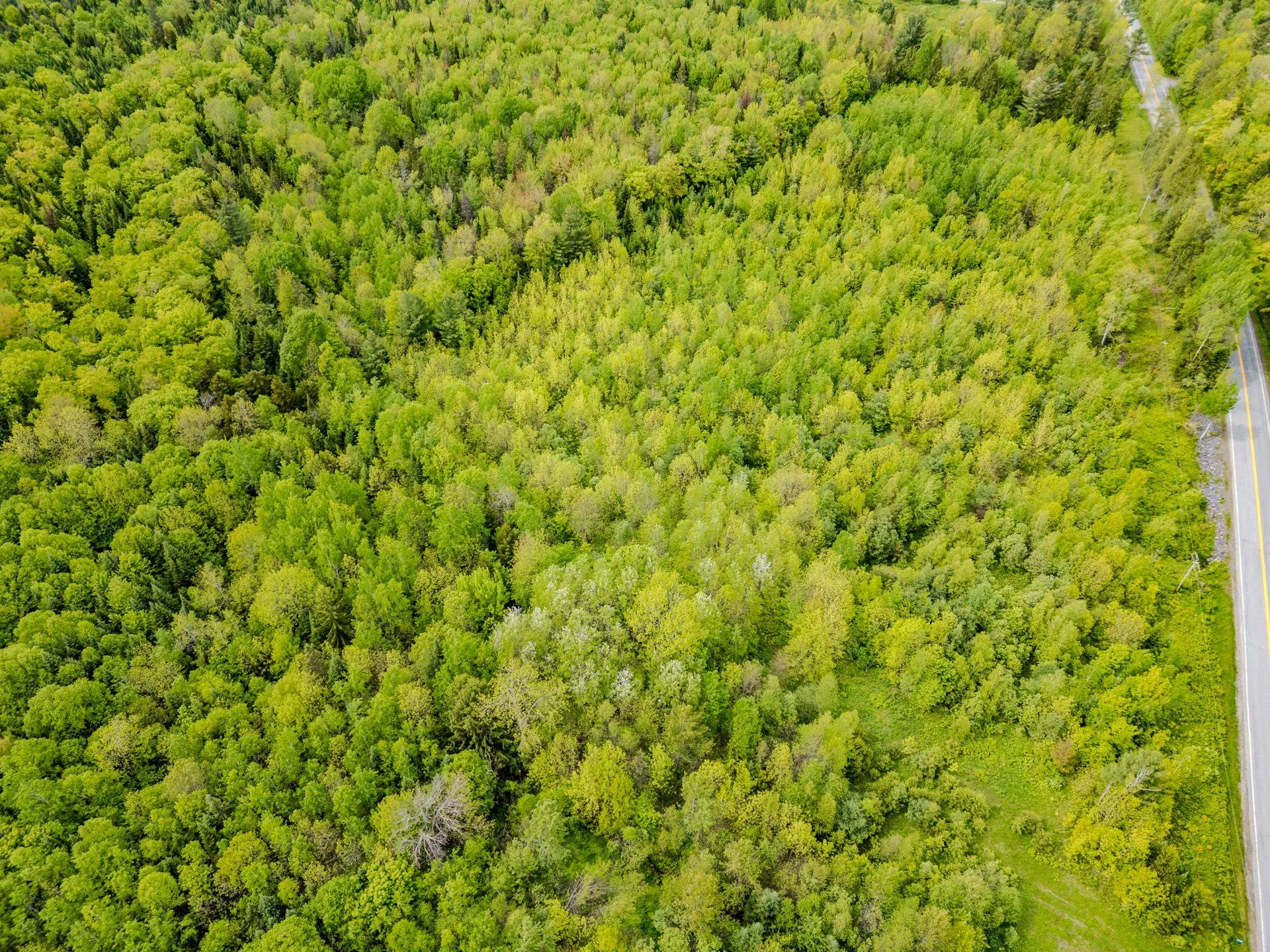 00 Vt Route 122 Sheffield VT 05866