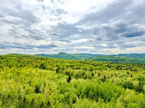 00 Vt Route 122 Sheffield VT 05866