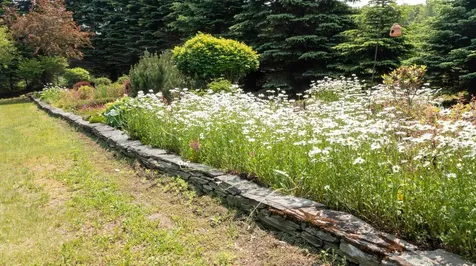 3581 Colvin Hill Road Danby VT 05739