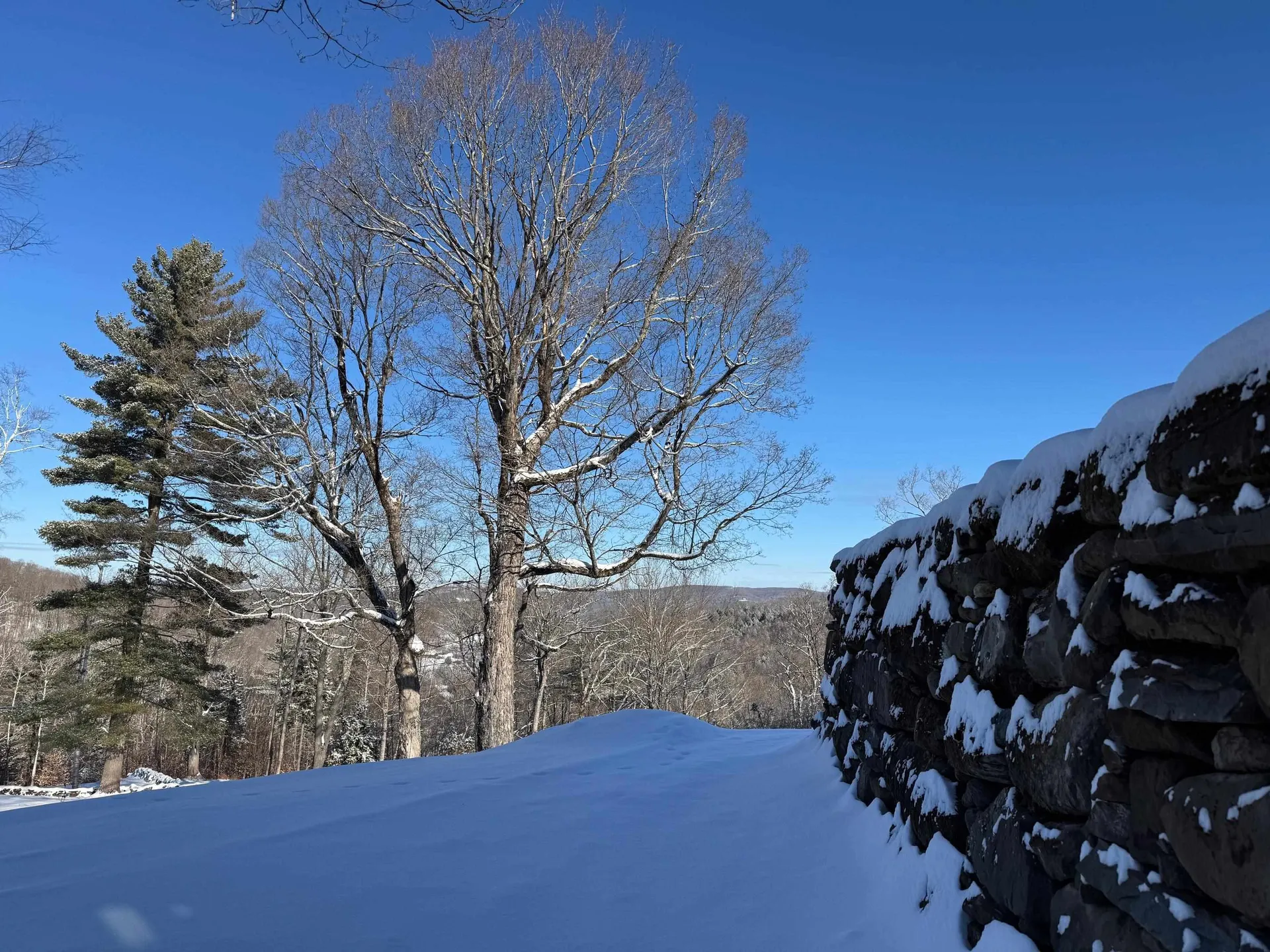 403 Horseshoe Way Woodstock VT 05071