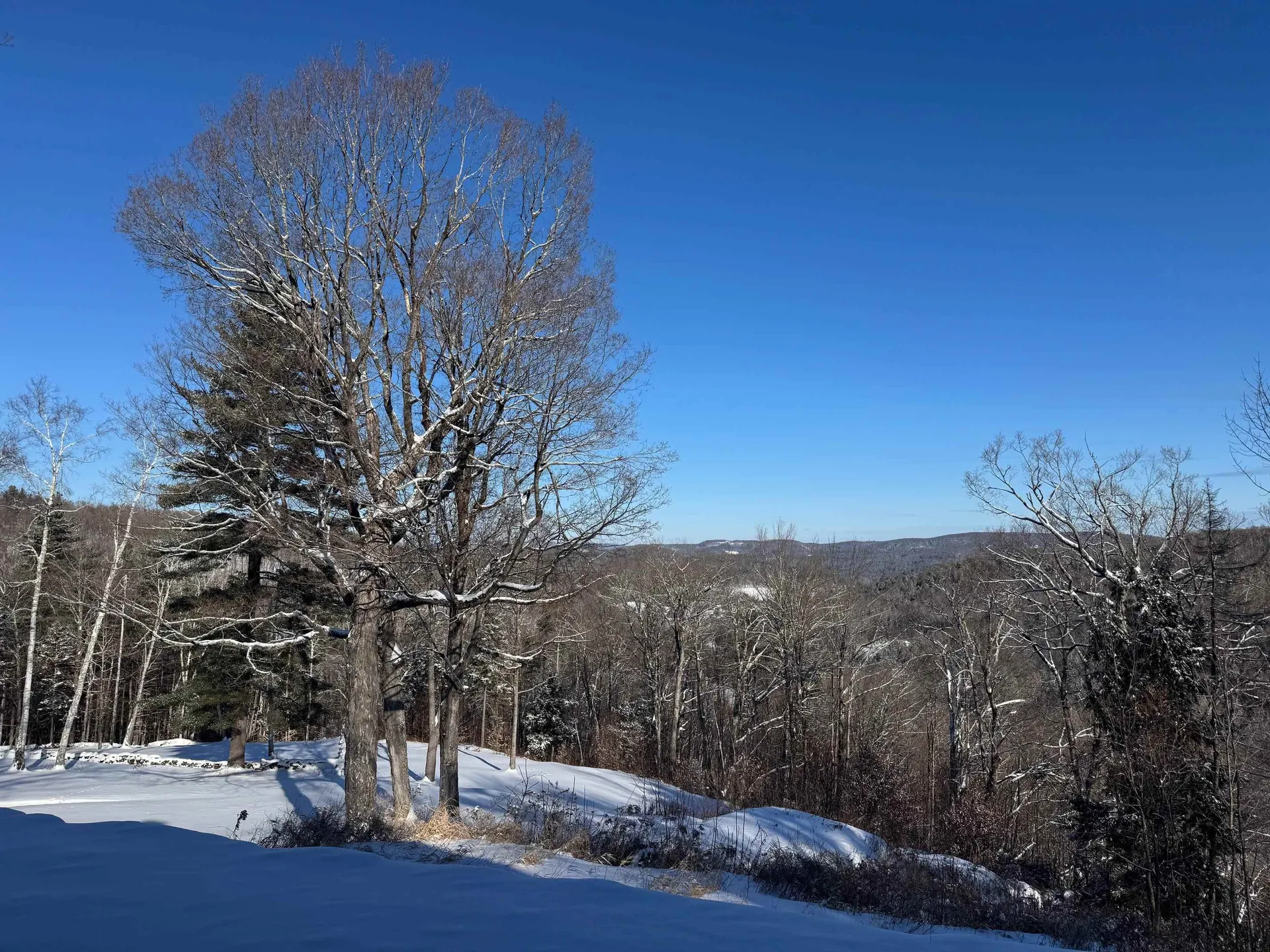 403 Horseshoe Way Woodstock VT 05071