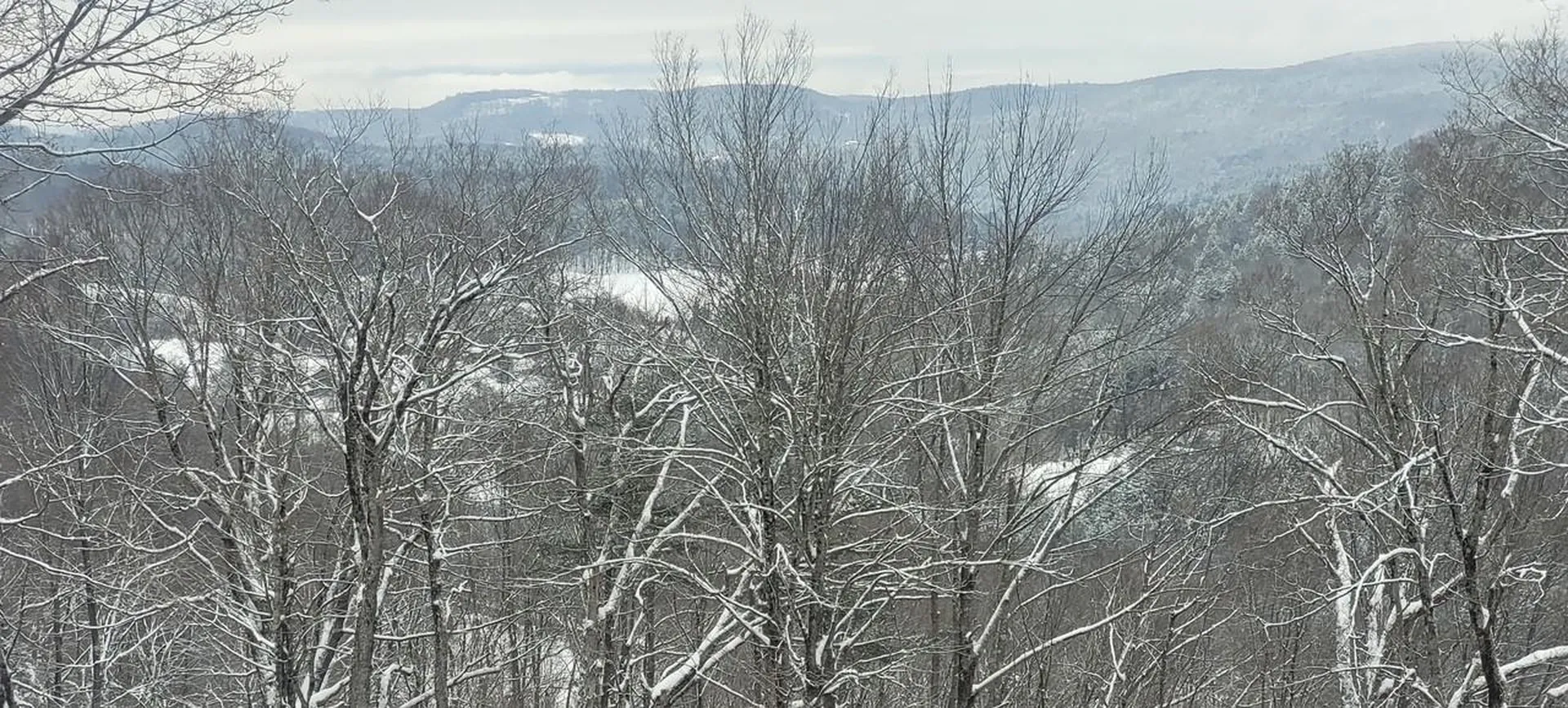 403 Horseshoe Way Woodstock VT 05071