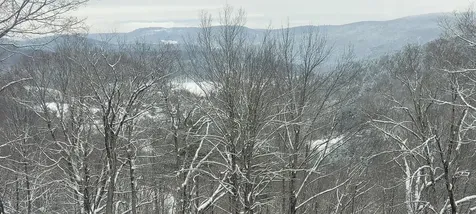 403 Horseshoe Way Woodstock VT 05071