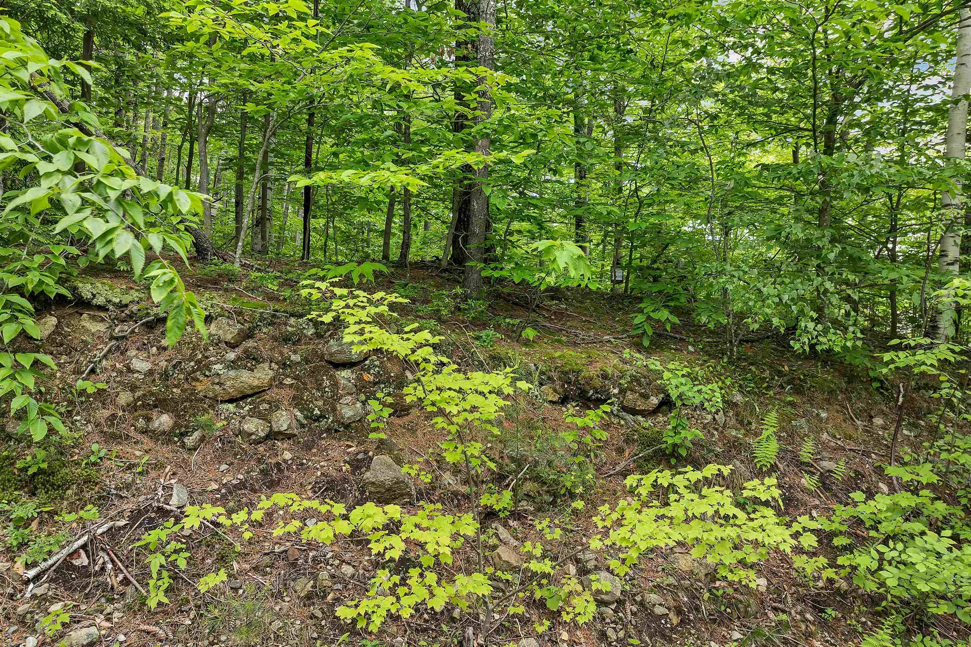 Plum Avenue Gilmanton NH 03237