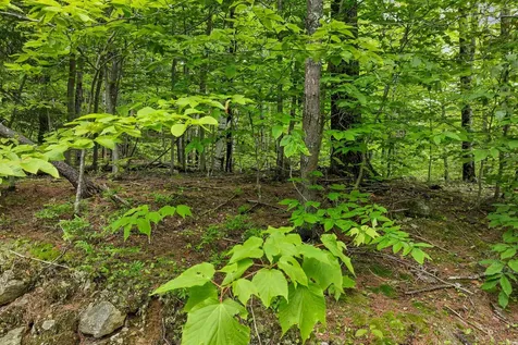 Plum Avenue Gilmanton NH 03237