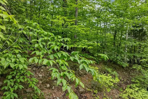 Plum Avenue Gilmanton NH 03237