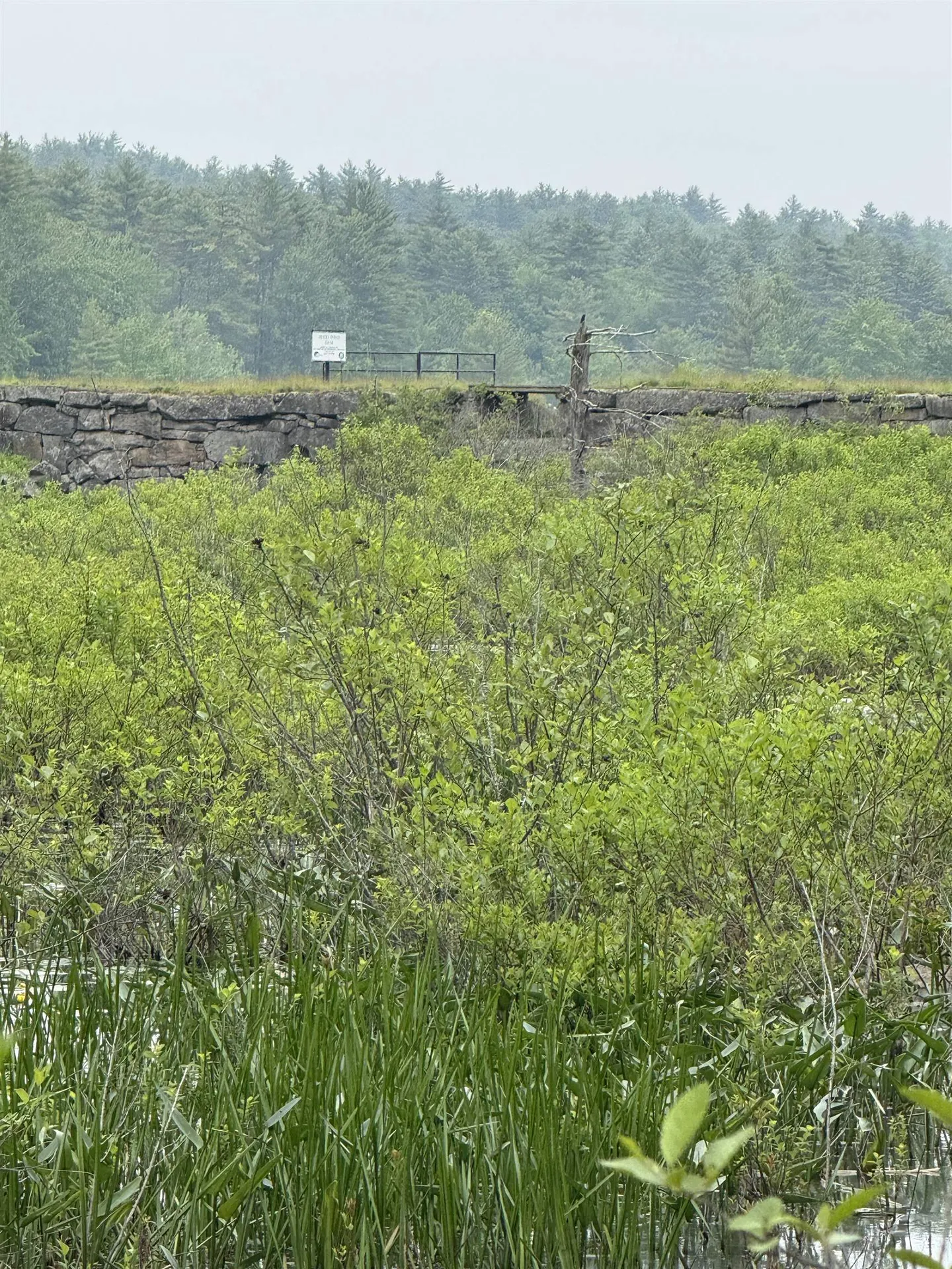 212-0003-01 Washington Extension Barrington NH 03825