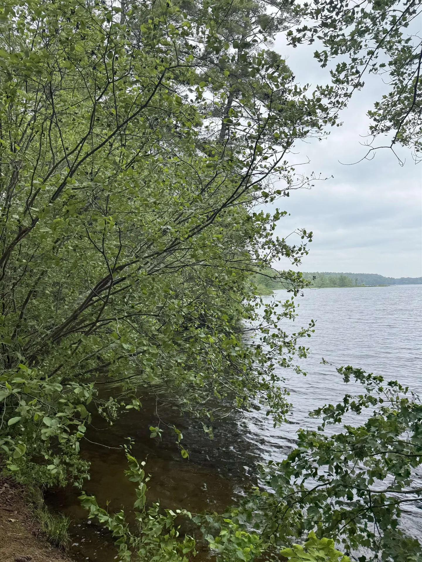 212-0003-01 Washington Extension Barrington NH 03825