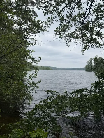 212-0003-01 Washington Extension Barrington NH 03825