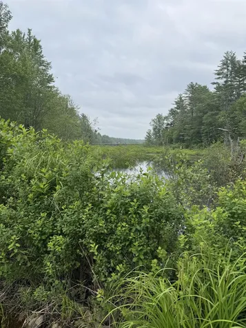 212-0003-01 Washington Extension Barrington NH 03825