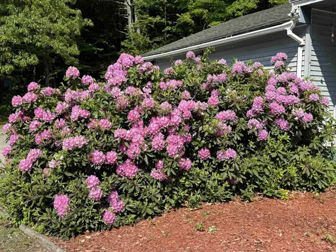 214 Daniel Webster Highway Boscawen NH 03303