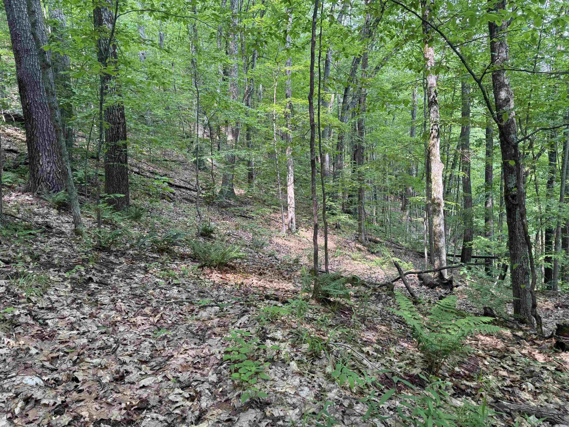 0 Ober Hill Road Townshend VT 05353