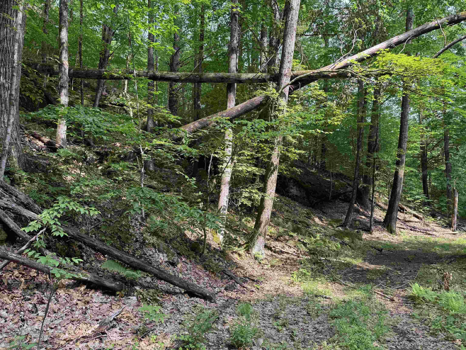 0 Ober Hill Road Townshend VT 05353