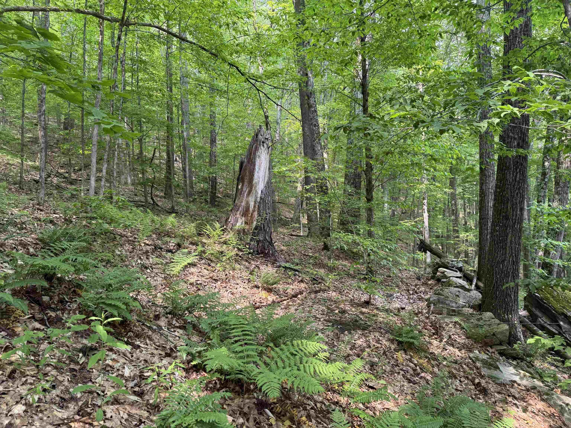 0 Ober Hill Road Townshend VT 05353