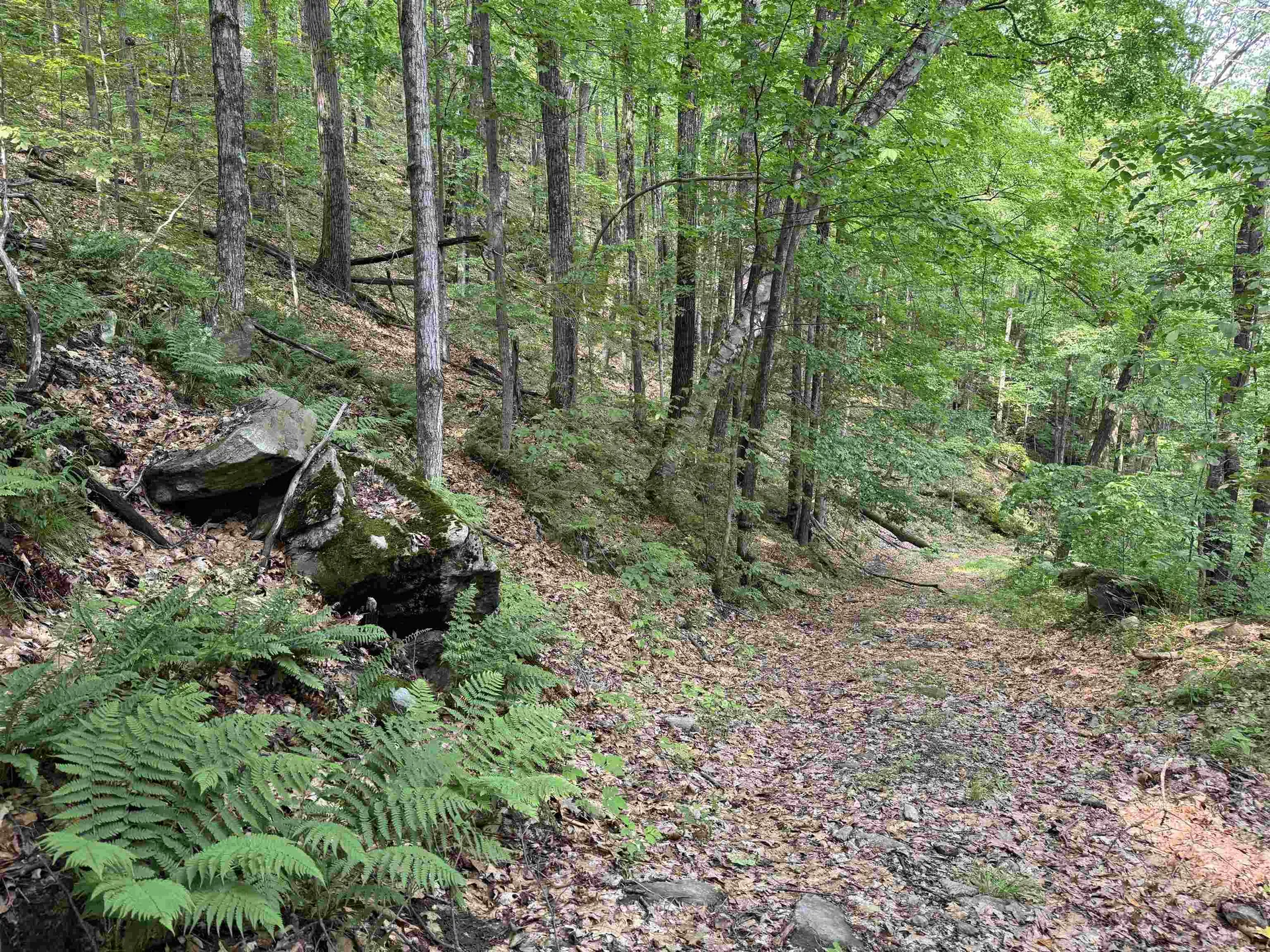 0 Ober Hill Road Townshend VT 05353