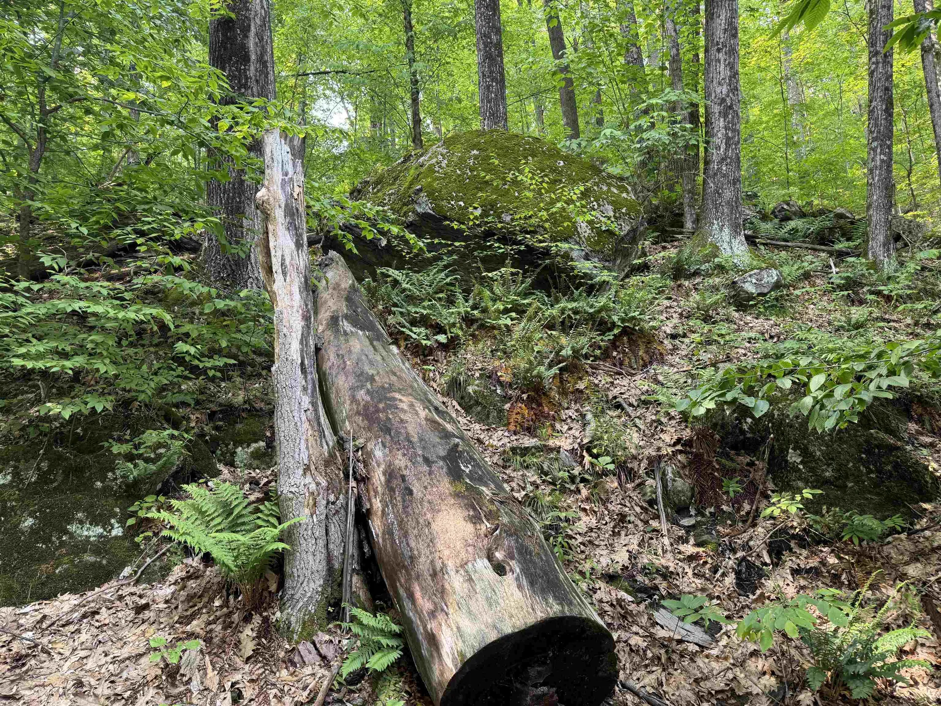 0 Ober Hill Road Townshend VT 05353