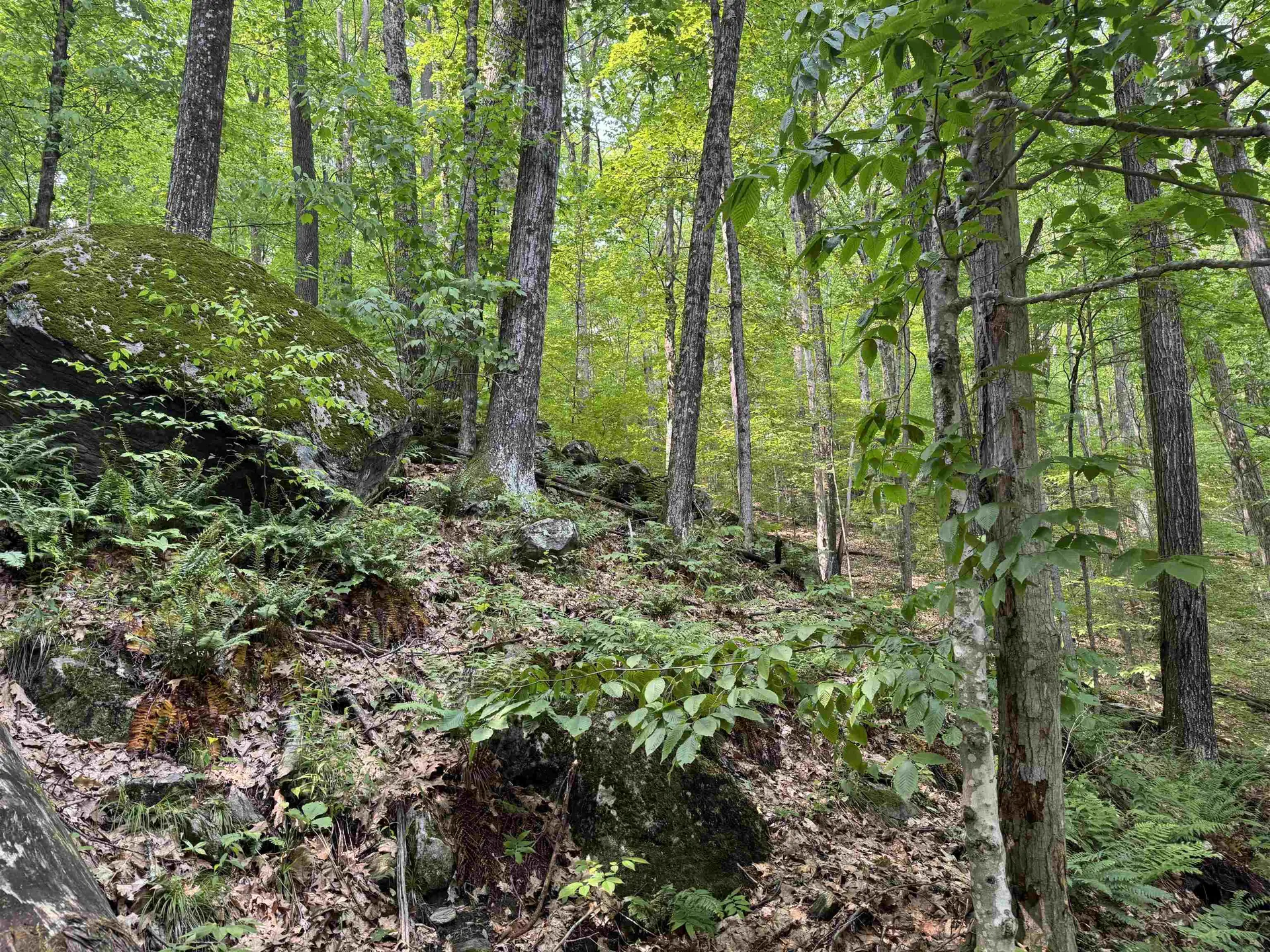 0 Ober Hill Road Townshend VT 05353