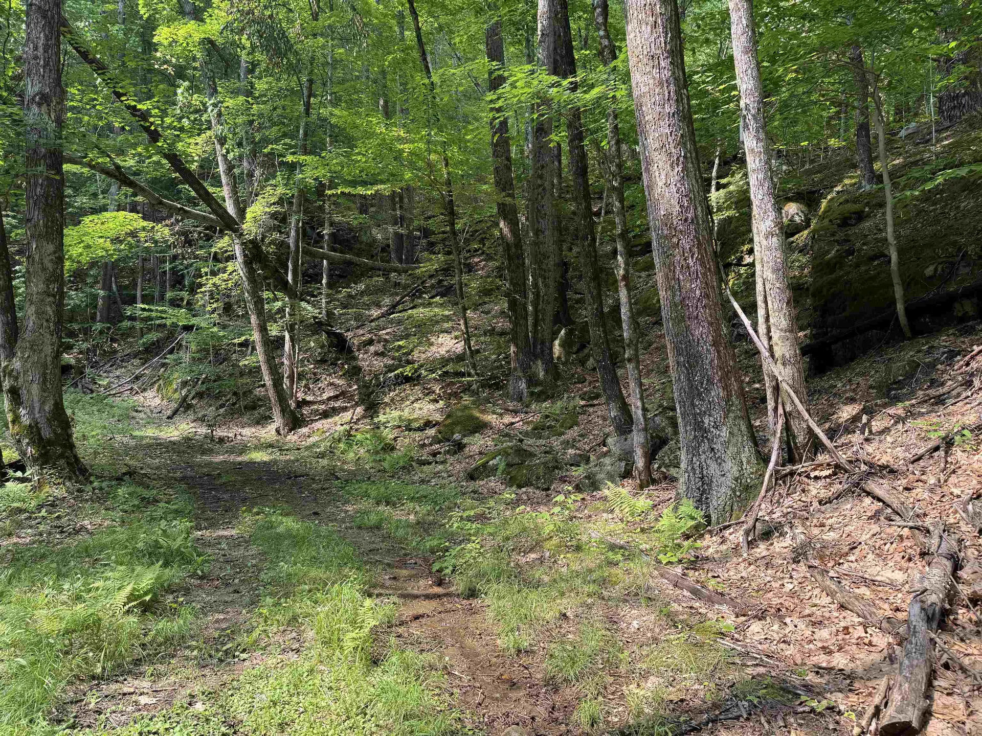 0 Ober Hill Road Townshend VT 05353