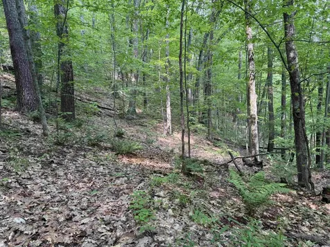 0 Ober Hill Road Townshend VT 05353