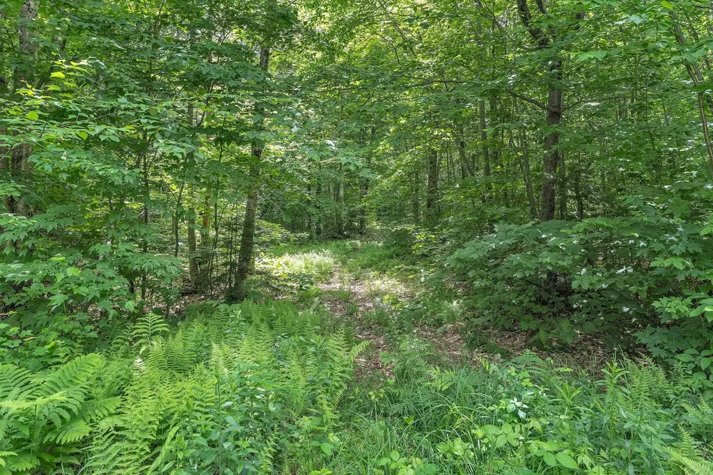 00 Frank's Way Middlesex VT 05602