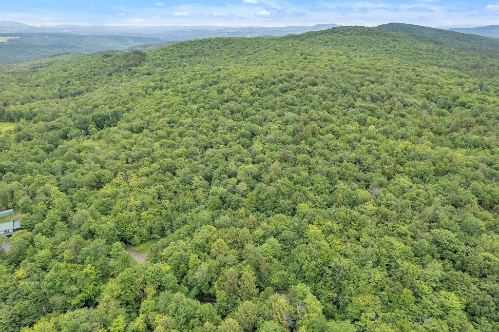 00 Frank's Way Middlesex VT 05602