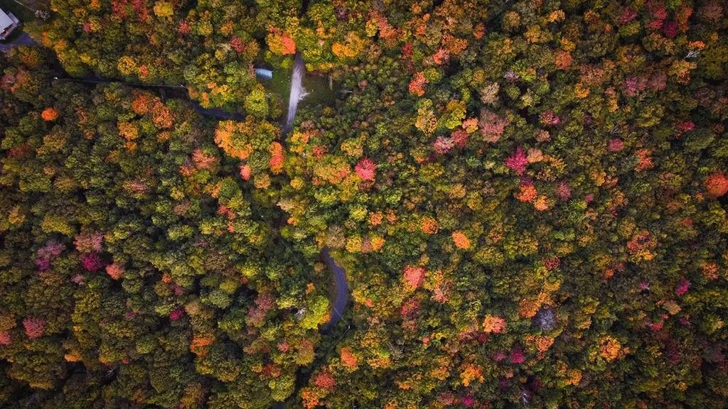 00 Frank's Way Middlesex VT 05602