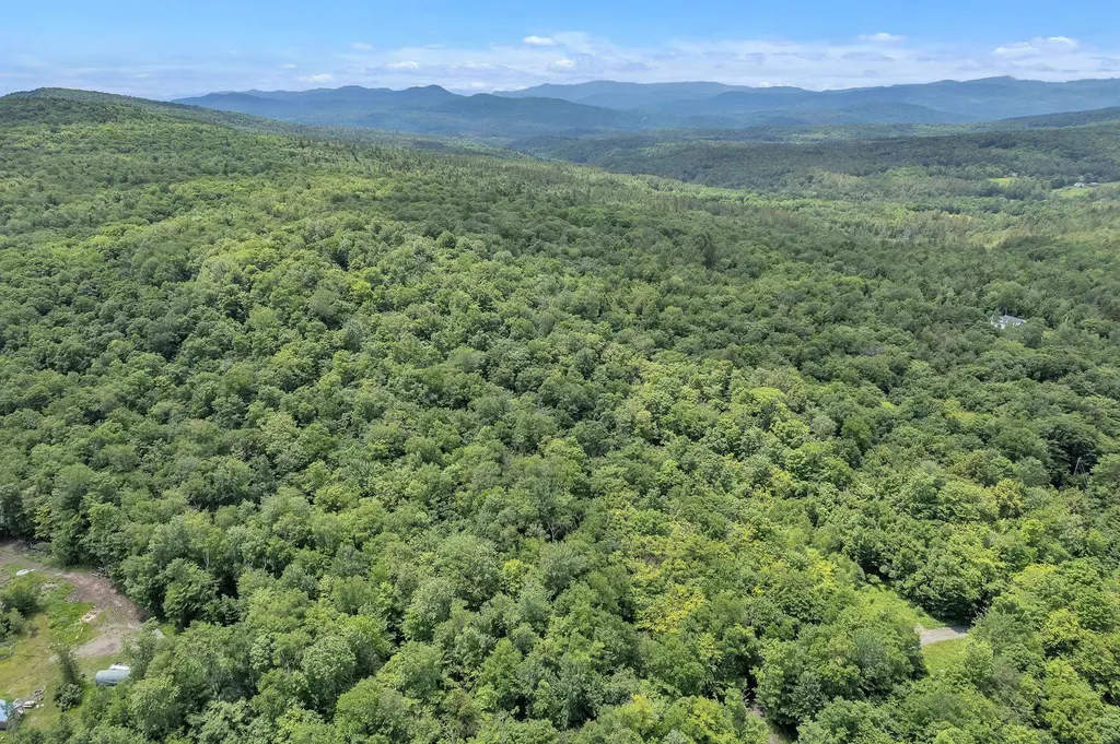 00 Frank's Way Middlesex VT 05602