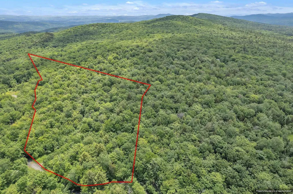 00 Frank's Way Middlesex VT 05602