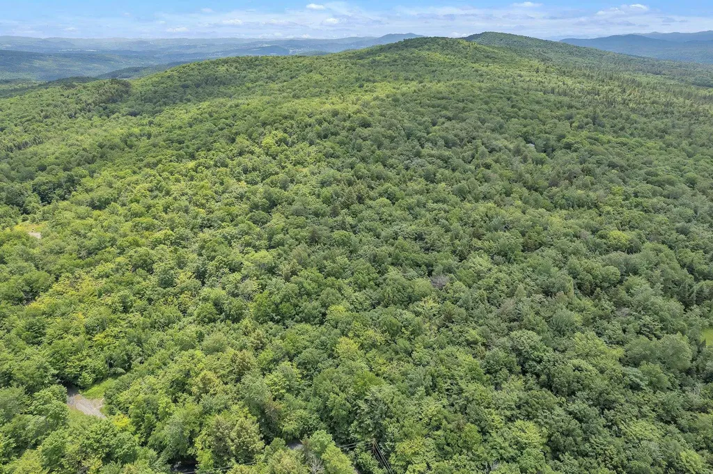 00 Frank's Way Middlesex VT 05602