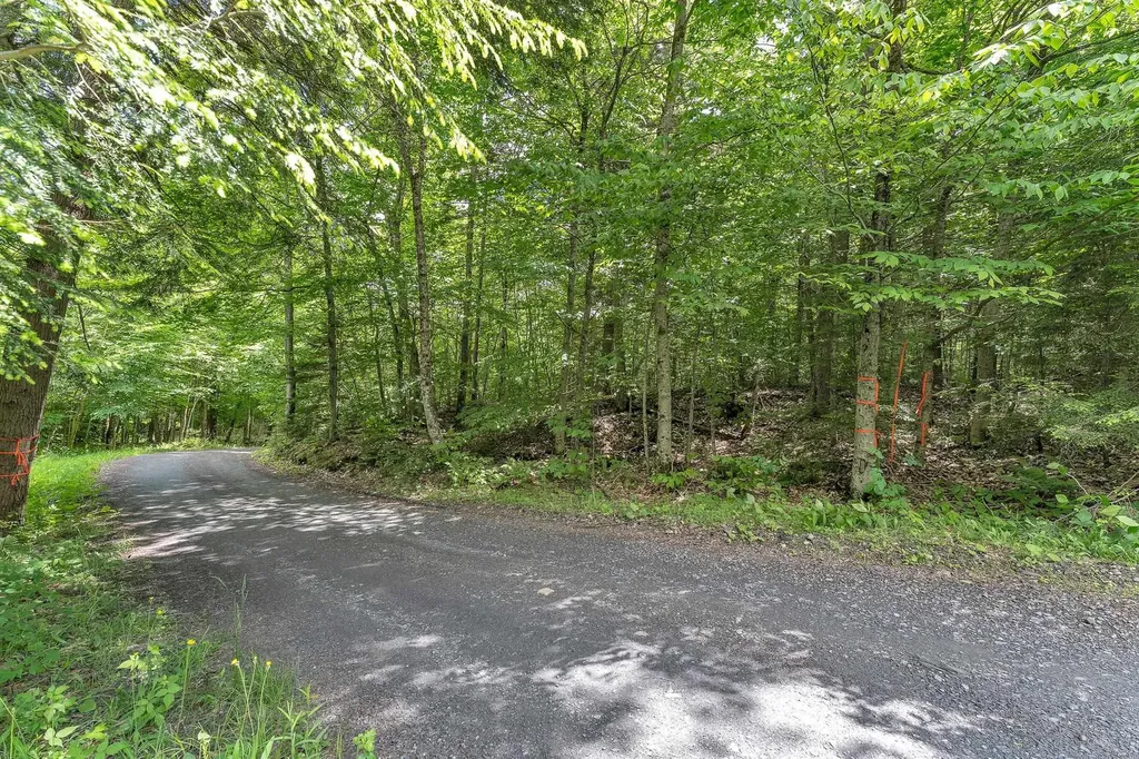 00 Frank's Way Middlesex VT 05602