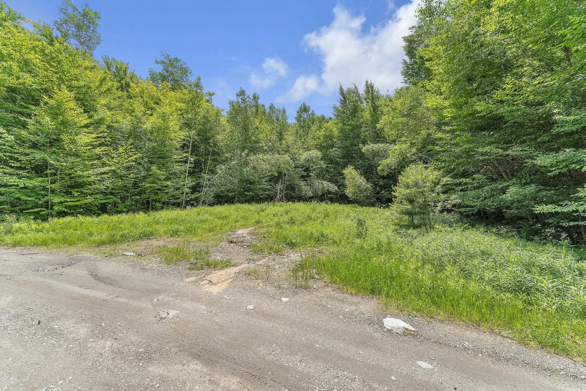 00 Frank's Way Middlesex VT 05602