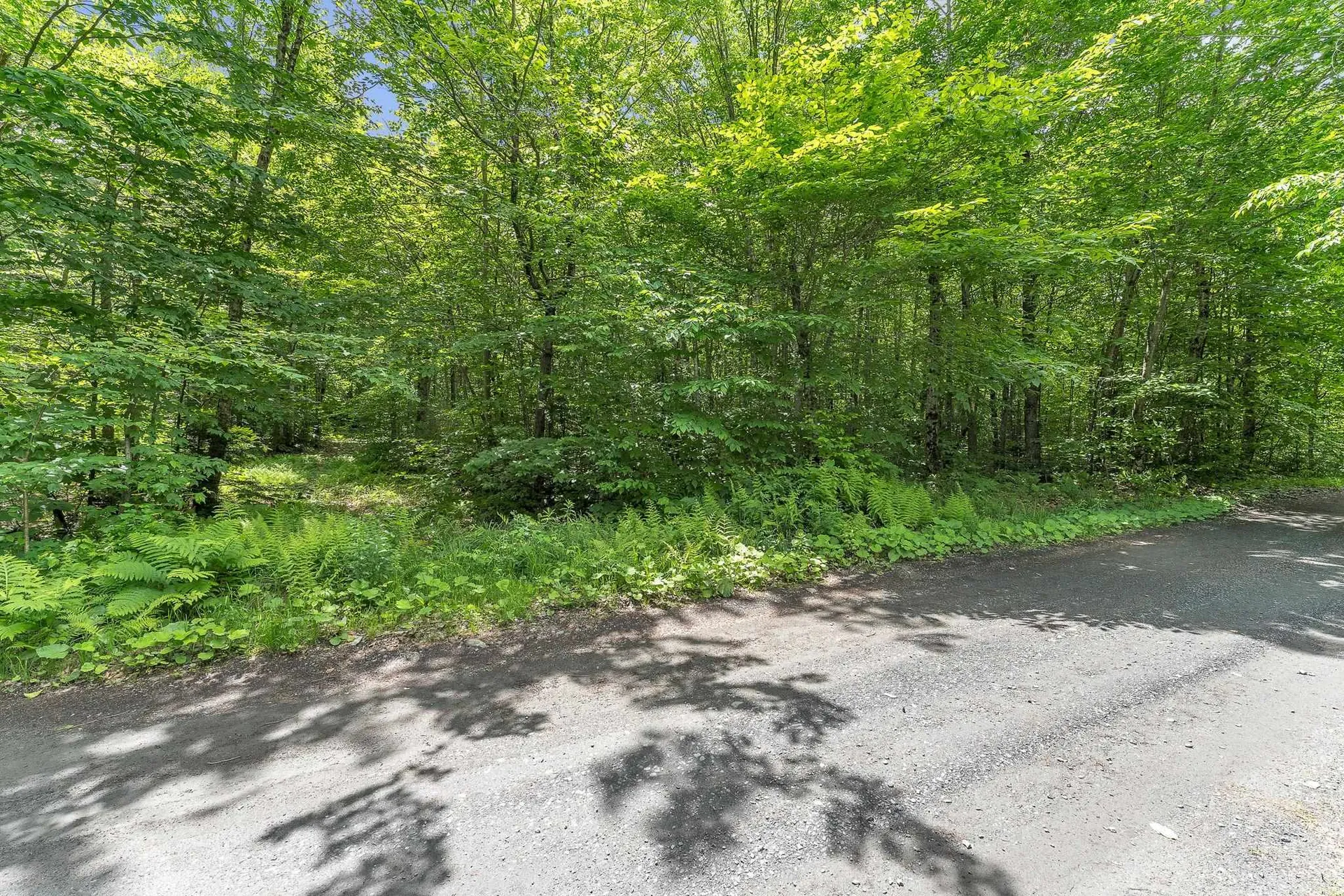 00 Frank's Way Middlesex VT 05602