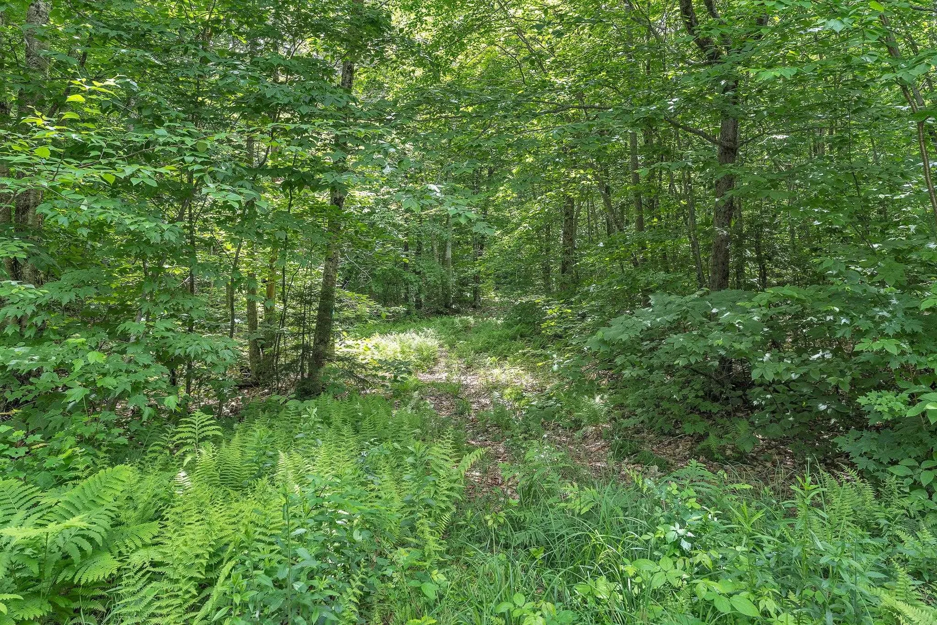 00 Frank's Way Middlesex VT 05602