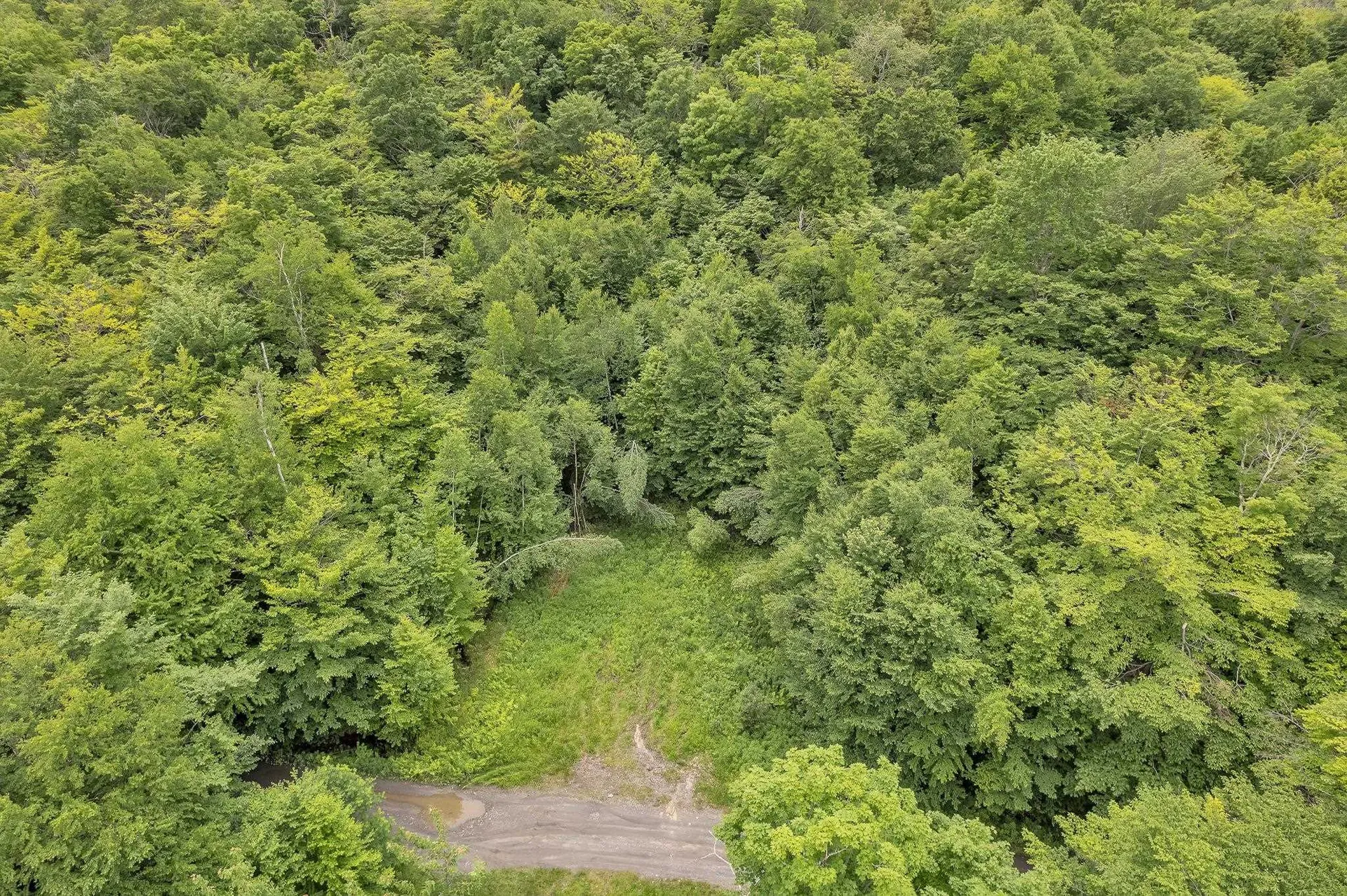 00 Frank's Way Middlesex VT 05602