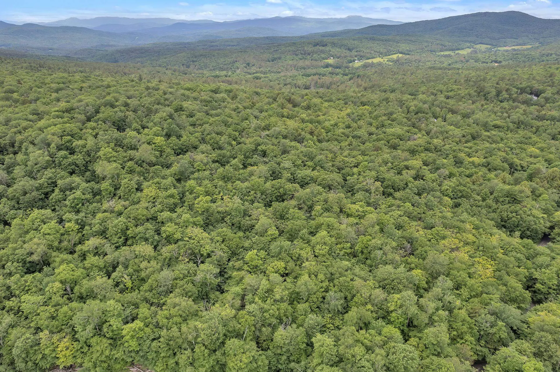 00 Frank's Way Middlesex VT 05602