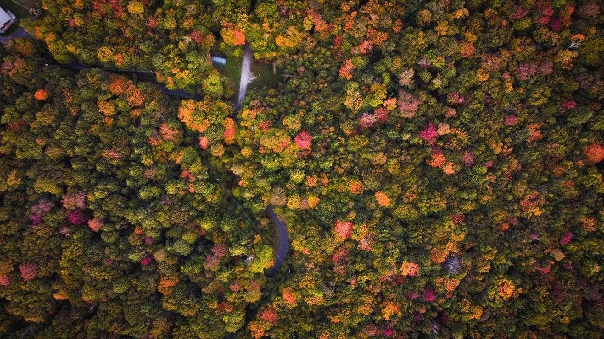 00 Frank's Way Middlesex VT 05602