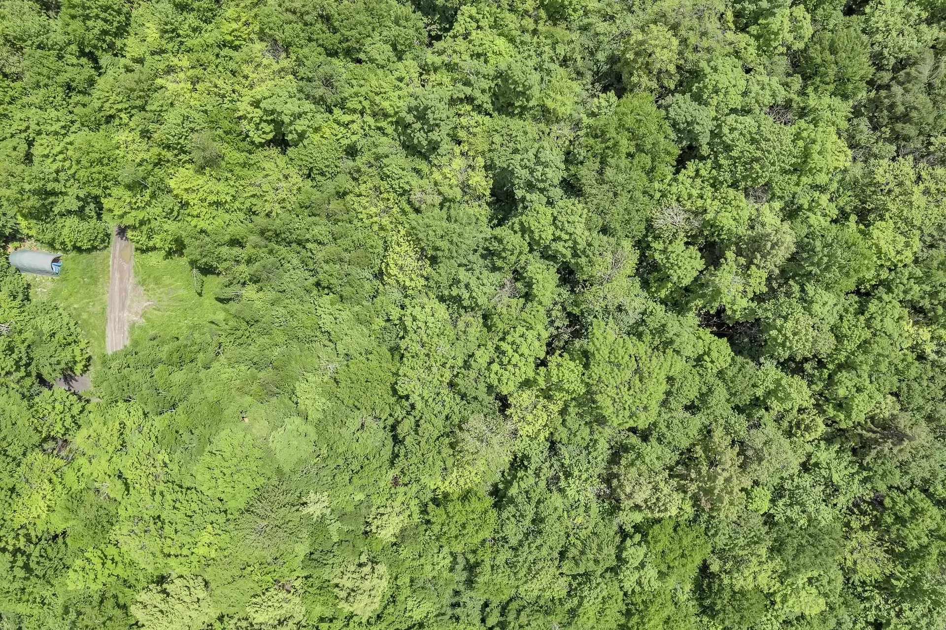 00 Frank's Way Middlesex VT 05602