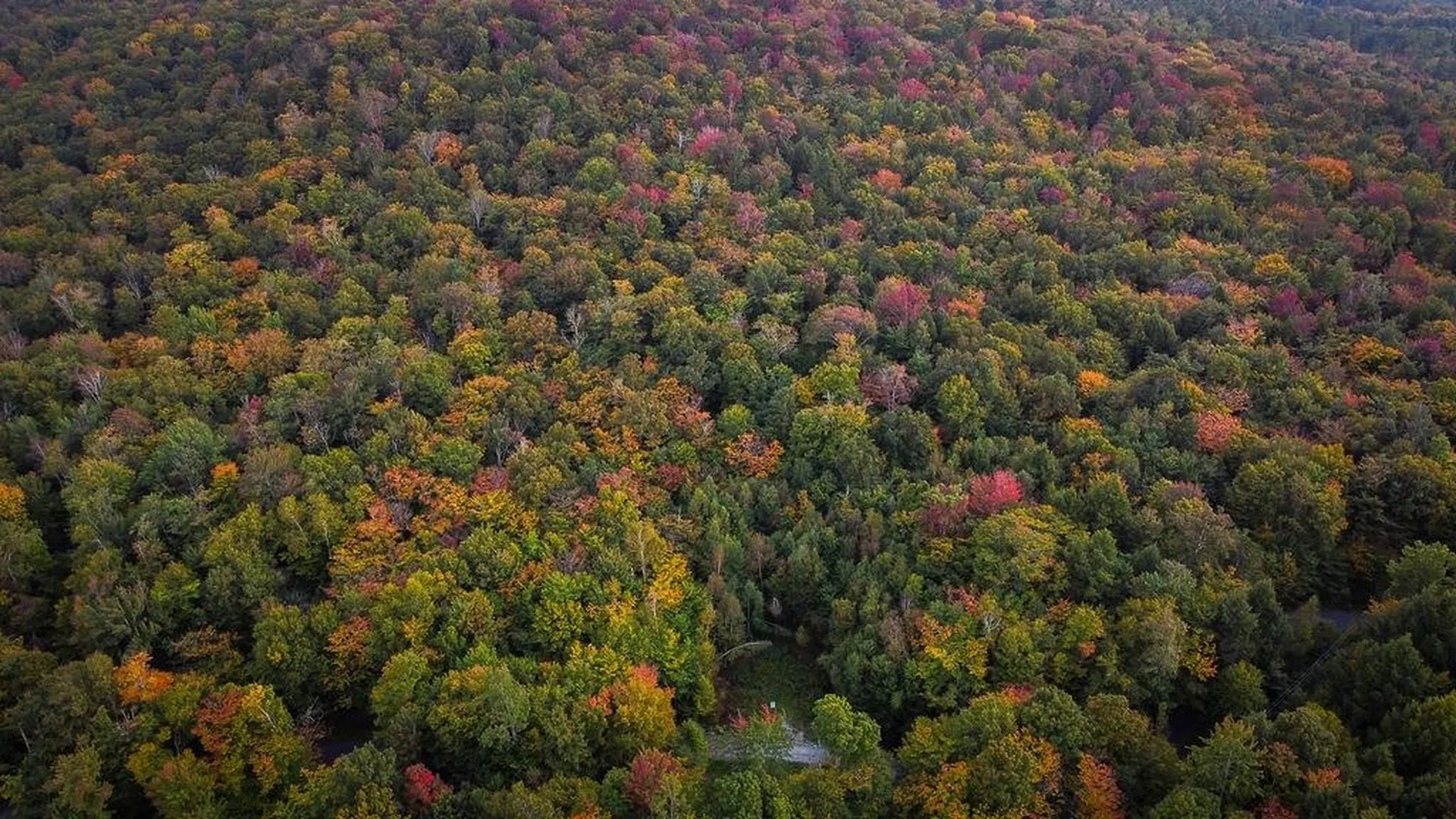 00 Frank's Way Middlesex VT 05602