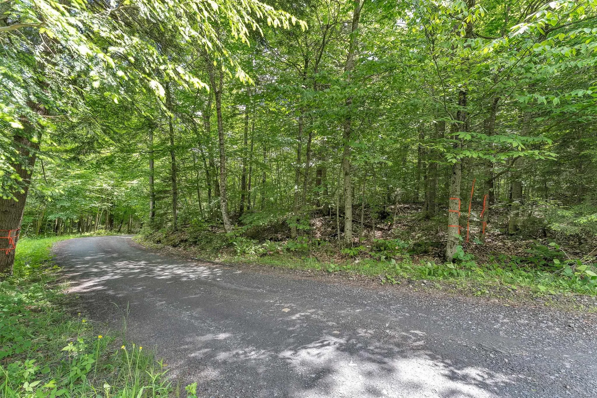 00 Frank's Way Middlesex VT 05602