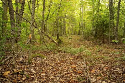 00 Frank's Way Middlesex VT 05602