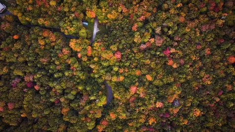 00 Frank's Way Middlesex VT 05602