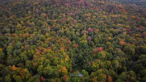 00 Frank's Way Middlesex VT 05602