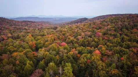 00 Frank's Way Middlesex VT 05602