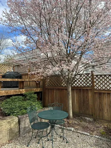 48 North Adams Street Manchester NH 03104