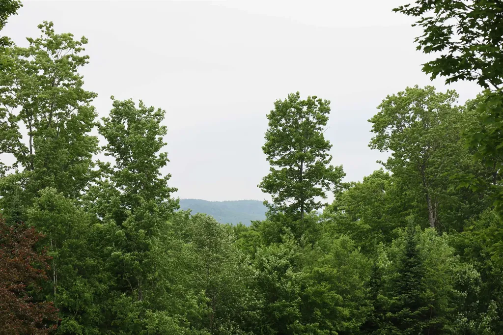 441 Radar Road East Haven VT 05837