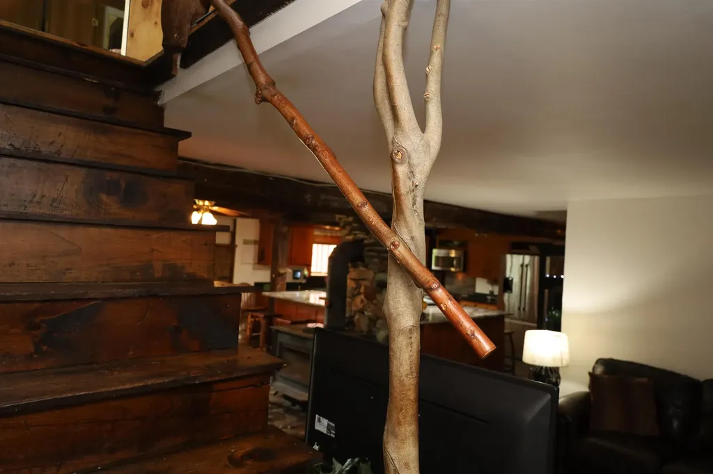 441 Radar Road East Haven VT 05837