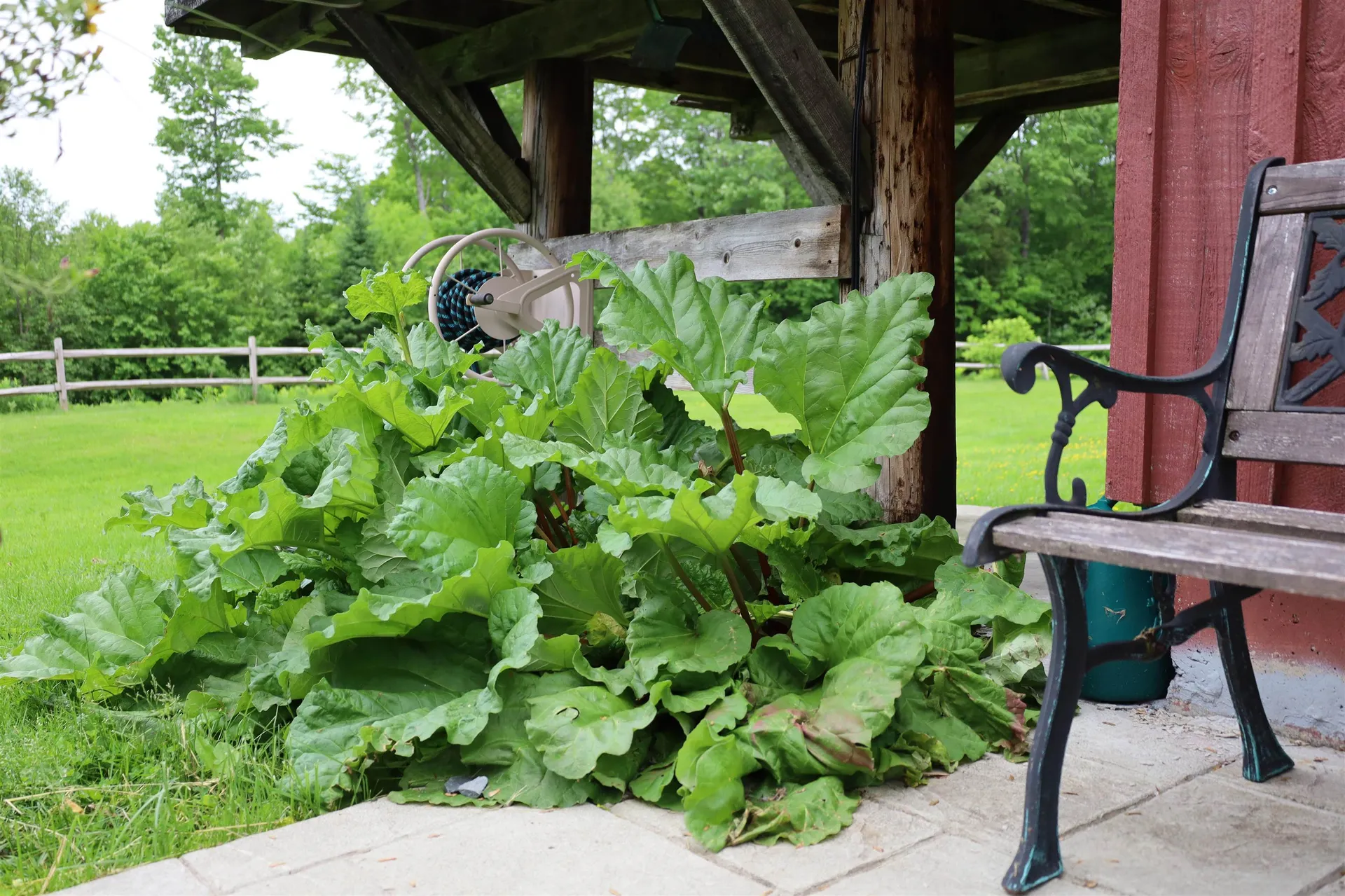 441 Radar Road East Haven VT 05837