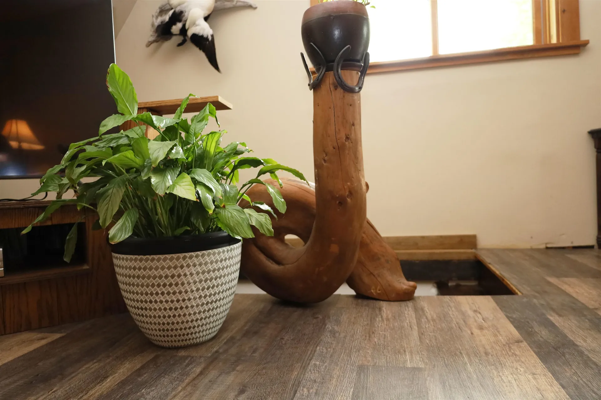 441 Radar Road East Haven VT 05837