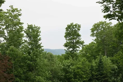 441 Radar Road East Haven VT 05837