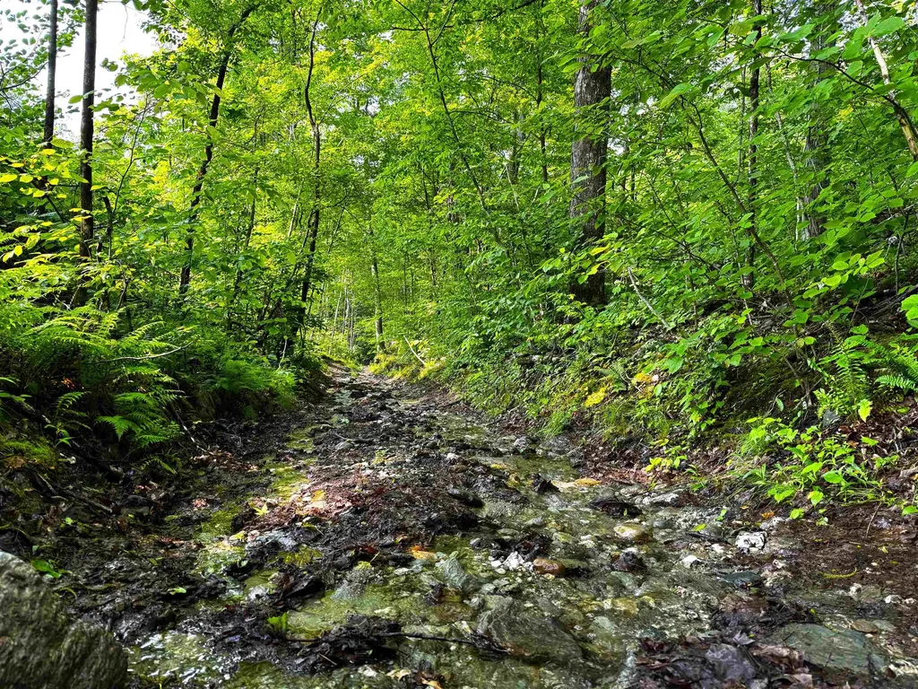 0 Hawley Mountain Road Arlington VT 05250